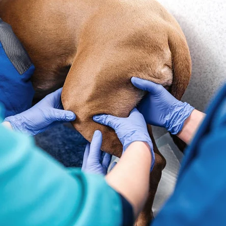 Прием травматолога